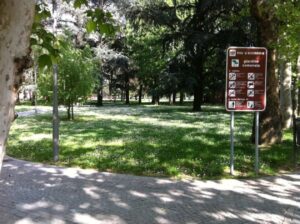 Quanto il verde (zone alberate) fa bene al clima e attenua il caldo