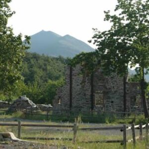 Benedicta: pieno di contatti per la commemorazione on line