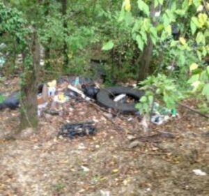 Pneumatici abbandonati a Valenza: in due nei guai