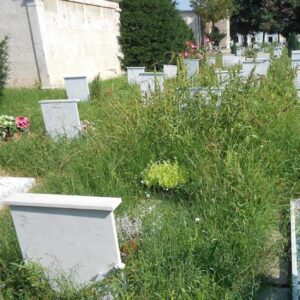 Cimiteri: Forza Italia propone alternativa alla “privatizzazione”