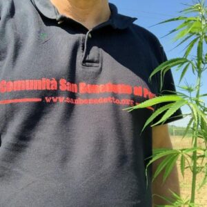 Cannabis terapeutica: “A Ponzone avremmo i terreni per coltivarla”