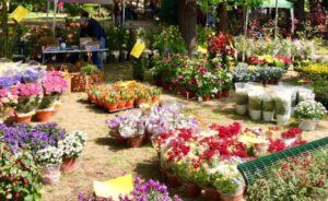 La città è un giardino: sarà festa anche oggi