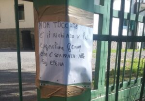 Le ciabatte del padrone per fare ritornare il cane