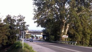 Rolando (Lega): “Nuovo ponte Bormida, i fondi ci sono, Ma la Giunta Abonante dorme”
