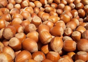 Nocciole, ecco i nuovi prezzi stabiliti dalla Commissione