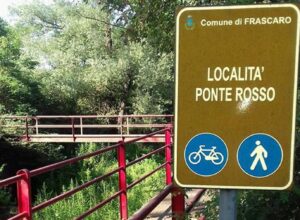 Sono stati cloruri e solfati a uccidere i pesci del rio