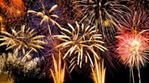 “Capodanno, niente botti. Pensiamo ai nostri amici animali”