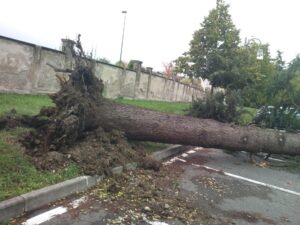 Casale e Valenza contano i danni