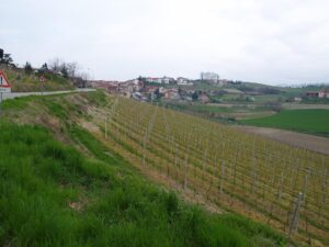 Rimandata la fusione tra Cuccaro e Lu