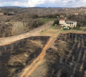 Altavilla, 6mila metri quadrati di bosco in fumo