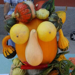 Zucca regina dell’autunno: ecco perché fa bene