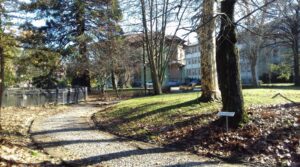 Villa Gabrieli: attività e benessere con Vela e Cigno