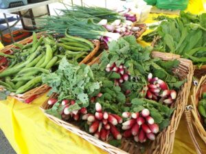 Domani al Mercato Coperto c’è il #tintarelladay