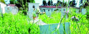 I cimiteri e il (mancato) decoro. Siamo davvero caduti così in basso?