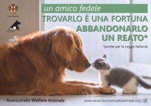 Contro l’abbandono degli animali: al via la campagna informativa