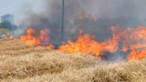 Incendio di sterpaglie e fumo denso, traffico rallentato