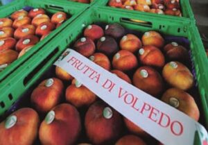 Volpedo celebra il suo frutto più pregiato