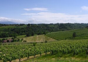 G7 Agricoltura: vetrina qualificata per “Città Europea del vino”