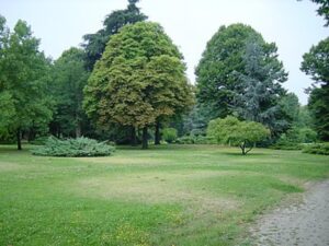 Altri due spacciatori arrestati ai giardini della stazione di Alessandria