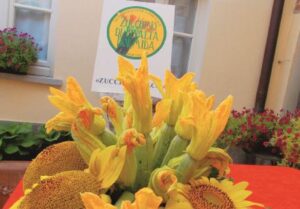 Lo zucchino De.co. spopola in Liguria: “Da noi manca l’ingrosso”