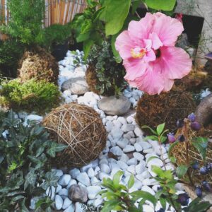 Tutto pronto per la seconda edizione di FlorAcqui
