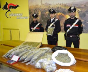 Marijuana tra le piante di pomodoro, scoperta maxi serra: arrestato