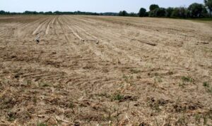 Agricoltori, in arrivo altri aiuti dalla Regione