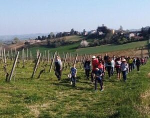 Passeggiata sotto le stelle tra le vigne