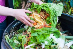 Stop allo spreco in mensa: il cibo avanzato va al canile