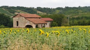 Mercato delle seconde case: il Monferrato piace
