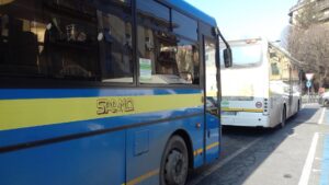 Saamo: privatizzazione nel futuro?
