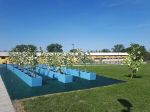 Casale: aperte le candidature al Premio Vivaio Eternot 2024