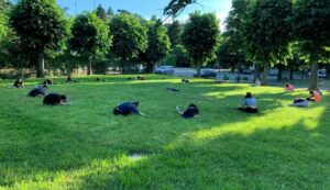 Giardini  e aree verdi a disposizione delle società sportive