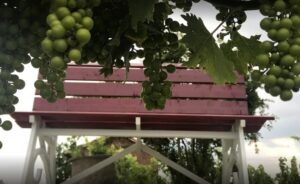 Anche Ricaldone avrà la sua ‘panchina gigante’