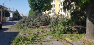 Protezione civile,  il sindaco chiamerà anche Borrelli