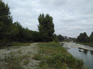 Via del Fiume: vent’anni dopo incuria e degrado “segnano” il percorso