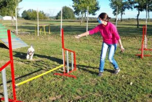 Raduno di meticci al centro canino “Hakuna Matata”