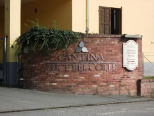 Cantina sociale Alice Bel Colle: «Il 2020 non è un anno nero»