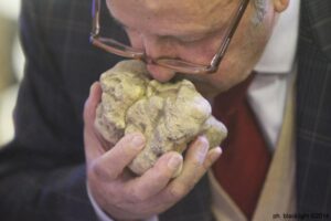 Murisengo: si apre la Stagione “Nazionale” del Tartufo Bianco