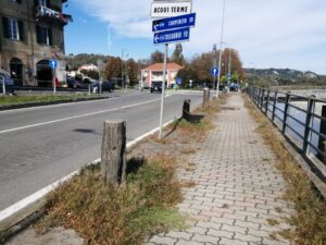 Verde pubblico: in arrivo nuove piante al posto dei vecchi alberi secchi