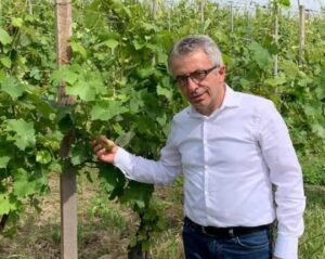 Cinghiali: Protopapa ambasciatore dei disagi piemontesi