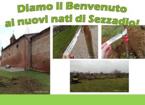 Sette alberi per sette bimbi: l’iniziativa del Comune