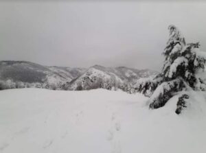 Ponzone, luce incostante e taglio dei rami