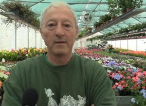 Il peperoncino italiano? “Deve essere valorizzato e tutelato”