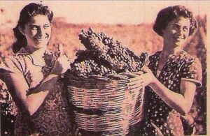 Mombello: per l’8 marzo in mostra gli “Scatti di donna”
