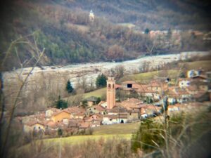 Travolto da un tronco mentre tagliava la legna