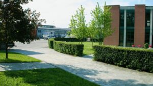 Amag, la “Rivoluzione verde” e i corsi per i docenti