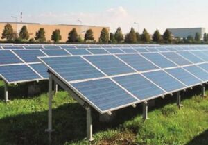 Il fotovoltaico del futuro: sotto i pannelli, more, ribes e mirtilli