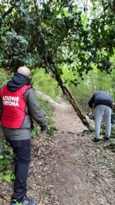 I volontari di Azione Tortona rimuovono una pianta