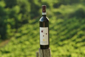 Un viaggio tra le uve più tipiche del panorama piemontese: il Dolcetto